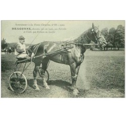 HIPPISME.n°11300.DRAGONNE