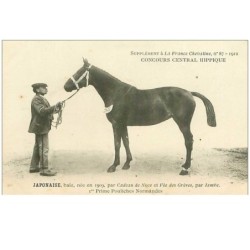 HIPPISME.n°12425.CONCOURS CENTRAL HIPPIQUE.JAPONAISE.Ier PRIME POULICHES NORMANDES