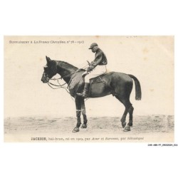 CAR-ABRP7-0589-HIPPISME - JACKSON - Bai-brun né en 1909 - Par asur et baronne - Par sébastopol