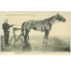 HIPPISME.n°11307.FLORE