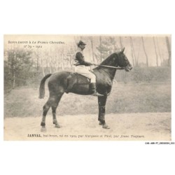 CAR-ABRP7-0586-HIPPISME - JANVAL - Bai-brun né en 1909 - Par narquois et thoé - Par jeune toujours