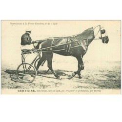 HIPPISME.n°11311.GERVAISE