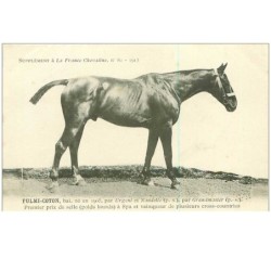 HIPPISME.n°11316.FULMI-COTON.PREMIER PRIX DE SELLE (POIDS LOURDS) ET VAINQUEUR DE PLUSIEURS CROSS-COUNTRIES