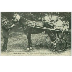 HIPPISME.n°11301.GOLDGRENE