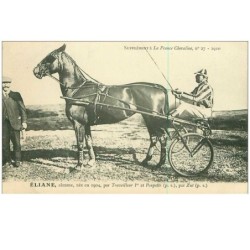 HIPPISME.n°11296.ELIANE