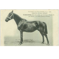 HIPPISME.n°11298.NARCISSE.1ere PRIME JUMENTS TROTTEUSES