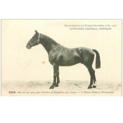 HIPPISME.n°11305.KEAN.2eme PRIME ETALONS NORMANDS