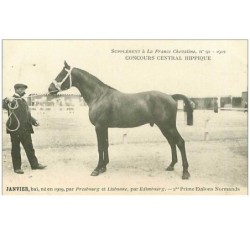 HIPPISME.n°12427.CONCOURS CENTRAL HIPPIQUE.JANVIER.2eme PRIME ETALONS NORMANDS