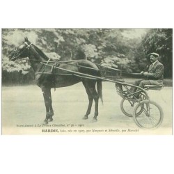 HIPPISME.n°11308.HARDIE