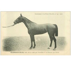 HIPPISME.n°11328.GLORIETTE II