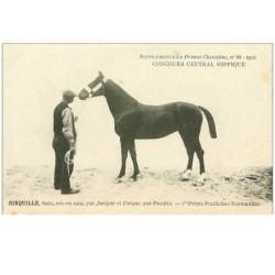 HIPPISME.n°12426.CONCOURS CENTRAL HIPPIQUE.JONQUILLE.Ier PRIME POULICHES NORMANDES