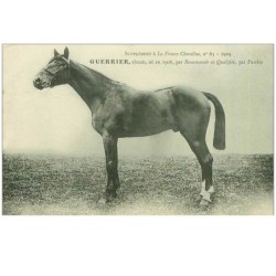 HIPPISME.n°11334.GUERRIER