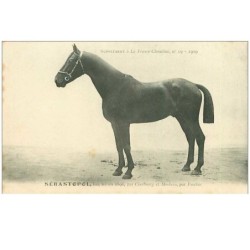 HIPPISME.n°11325.SEBASTOPOL