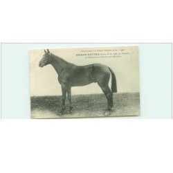 HIPPISME.n°11332.GRAND MAITRE