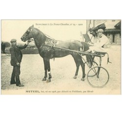 HIPPISME.n°11314.MUTUEL