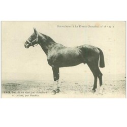 HIPPISME.n°11323.INCA
