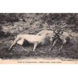 CHASSE - SAN37834 - Forêt de Fontainebleau - Bataille de Cerfs - Après le Combat