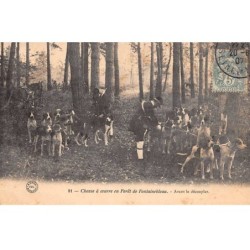 CHASSE - SAN37828 - Chasse à Courre en forêt de Fontainebleau - Avant le découpler