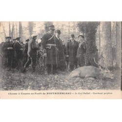 CHASSE - SAN37829 - Chasse à Courre en forêt de Fontainebleau - Le Cerf Hallali - Courteaut perplexe