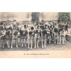 CHASSE - SAN37913 - Meute de Madame la Duchesse d'Uzès