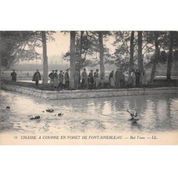 CHASSE - SAN37844 - Chasse à courre en Forêt de Fontainebleau - Bat l'eau