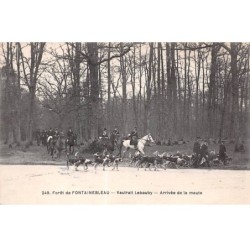 CHASSE - SAN37838 - Forêt de Fontainebleau - Vautrait Lebaudy - Arrivée de la Meute