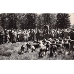 CHASSE - SAN37925 - Forêt de Tronçais - Chasse à Courre - La Meute