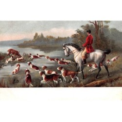 Sports - n°85602 - Chasse - Meute près d'un cerf, sous le regard d'un chasseur sur son cheval - Chasse à courre