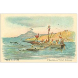 PECHE.PECHE MARITIME.PECHE DE L'ESPADON AU TRIDENT (MEDITERRANEE)