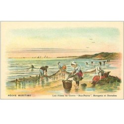 PECHE.PECHE MARITIME.PECHE AUX FILETS DIT DE GREVE.BAS-PARCS, ROUGETS ET DORADES