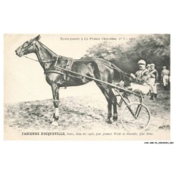 CAR-ABRP6-0523-HIPPISME - FABIENNE D'OCQUEVILLE - Baie née en 1906 - Par james watt et rosette - Par hote