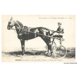 CAR-ABRP6-0522-HIPPISME - HARPON - Bai-brun né en 1907 - Par uranus et uranne - Par parfait
