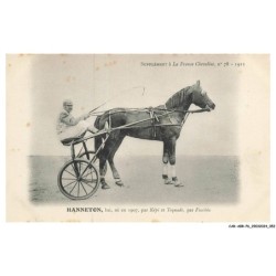 CAR-ABRP6-0519-HIPPISME - HANNETON - Bai né en 1907 - Par kepi et toquade  - Par fuschia