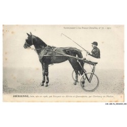 CAR-ABRP6-0513-HIPPISME - IBERIENNE - Baie née en 1908 - Par narquois ou alérion et quarantaine - Par cherbourg phaeton