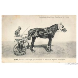 CAR-ABRP6-0515-HIPPISME - IGNY - Bai-brun né en 1908 - Par beaumanoir ou bobichou et bayadère - Par prophète