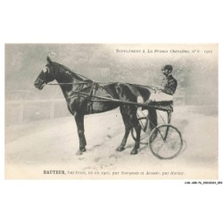 CAR-ABRP6-0520-HIPPISME - HAUTEUR - Bai-brun né en 1907 - Par narquois et avenir - Par harley