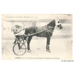 CAR-ABRP6-0521-HIPPISME - FAVORI - Bai né en 1905 - Par sébastopol et turquoise - Par hetman