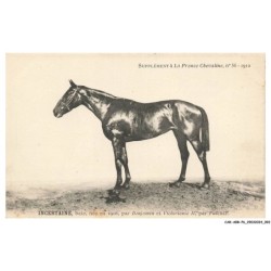 CAR-ABRP6-0539-HIPPISME - INCERTAINE - Baie née en 1908 - Par benjamin et victorieuse II - Par fuschia