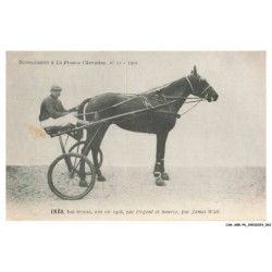 CAR-ABRP6-0524-HIPPISME - INES - Bai-brune née en 1908 - Par urgent et source - Par james watt