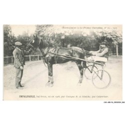 CAR-ABRP6-0527-HIPPISME - IMPALPABLE - Bai-brun né en 1908 - Par cosaque b et niniche - Par colporteur