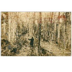 CHASSE.n°10.WOODLAND SCENE.CP PHOTO.TIR