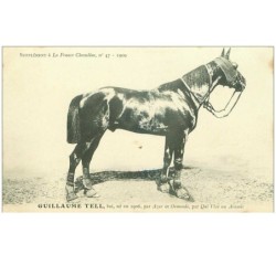 hippisme.n°35619.guillaume tell.bai.1909.CHEVAUX.SUPPLEMENT A LA FRANCE CHEVALINE.dos blanc.course.cheval.jokey.