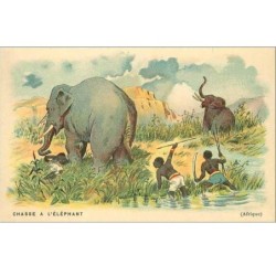 CHASSE.CHASSE A L'ELEPHANT