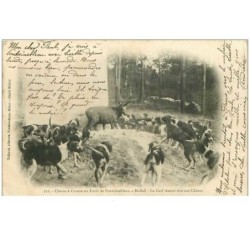 CHASSE.n°12268.CHASSE A COURRE EN FORET DE FONTAINEBLEAU.LE CEF TENANT TETE AUX CHIENS