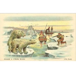 CHASSE.CHASSE A L'OURS BLANC