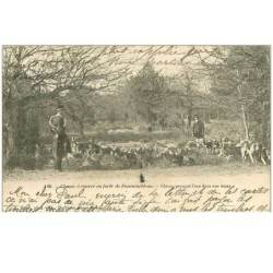 CHASSE.n°12269.CHASSE A COURRE EN FORET DE FONTAINEBLEAU.CHIENS PRENANT L'EAU DANS UNE MARE
