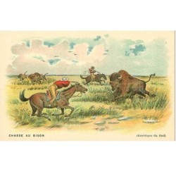 CHASSE.CHASSE AU BISON