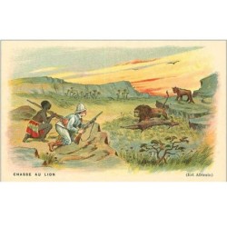 CHASSE.CHASSE AU LION