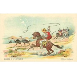 CHASSE.CHASSE A L'AUTRUCHE