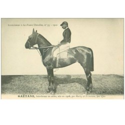 hippisme.n°37659.gaetane.baie brune .1910.CHEVAUX.SUPPLEMENT A LA FRANCE CHEVALINE.course.cheval.jokey.